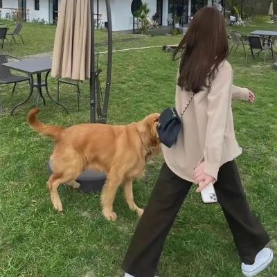 爆裂追击